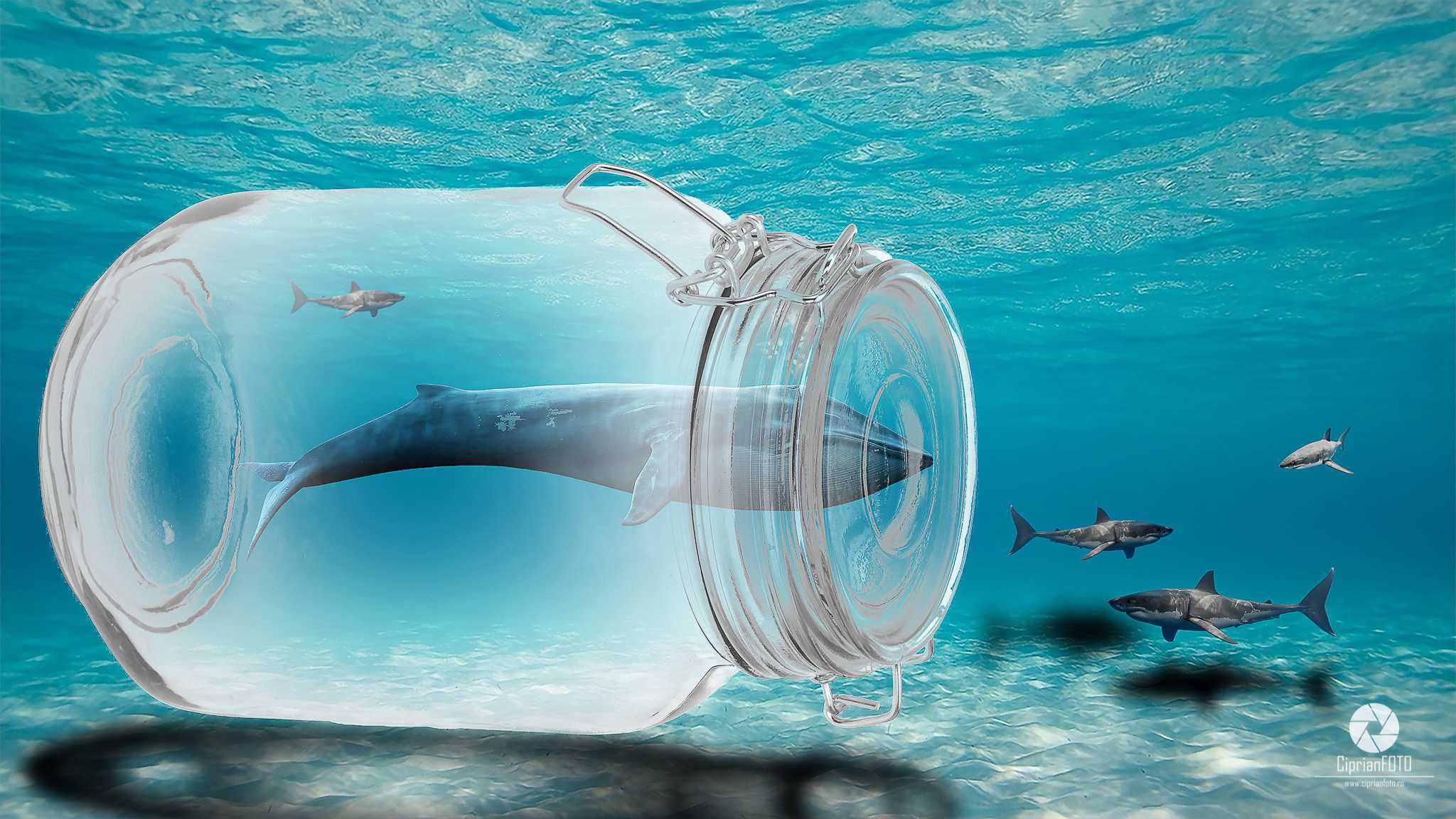 The Blue Whale In Jar, Photoshop Manipulation Tutorial, CiprianFOTO