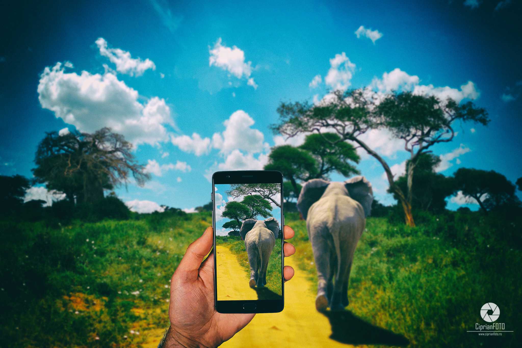 OnePlus 3 In Africa, Photoshop Manipulation Tutorial, CiprianFOTO