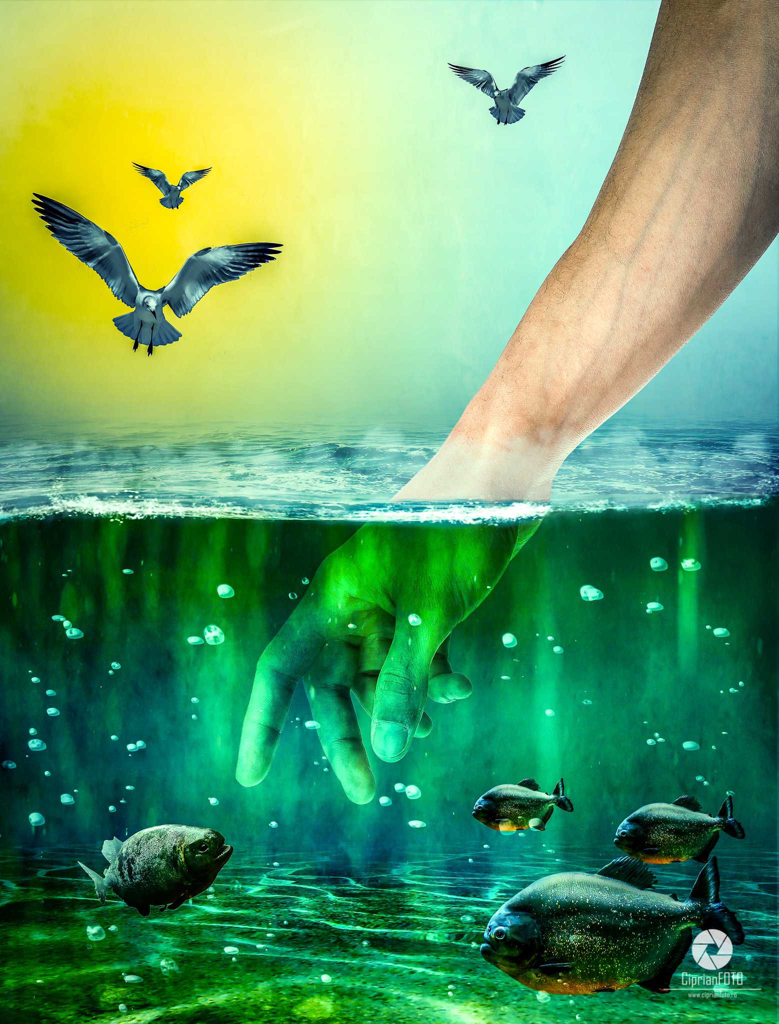The Hand That Tames Piranha, Photoshop Manipulation Tutorial, CiprianFOTO