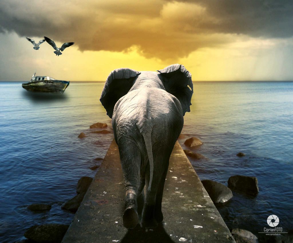 Elephant On Pontoon Fantasy Surreal Scene Photoshop Tutorial Elephant On Pontoon Fantasy Surreal Scene Photoshop Tutorial