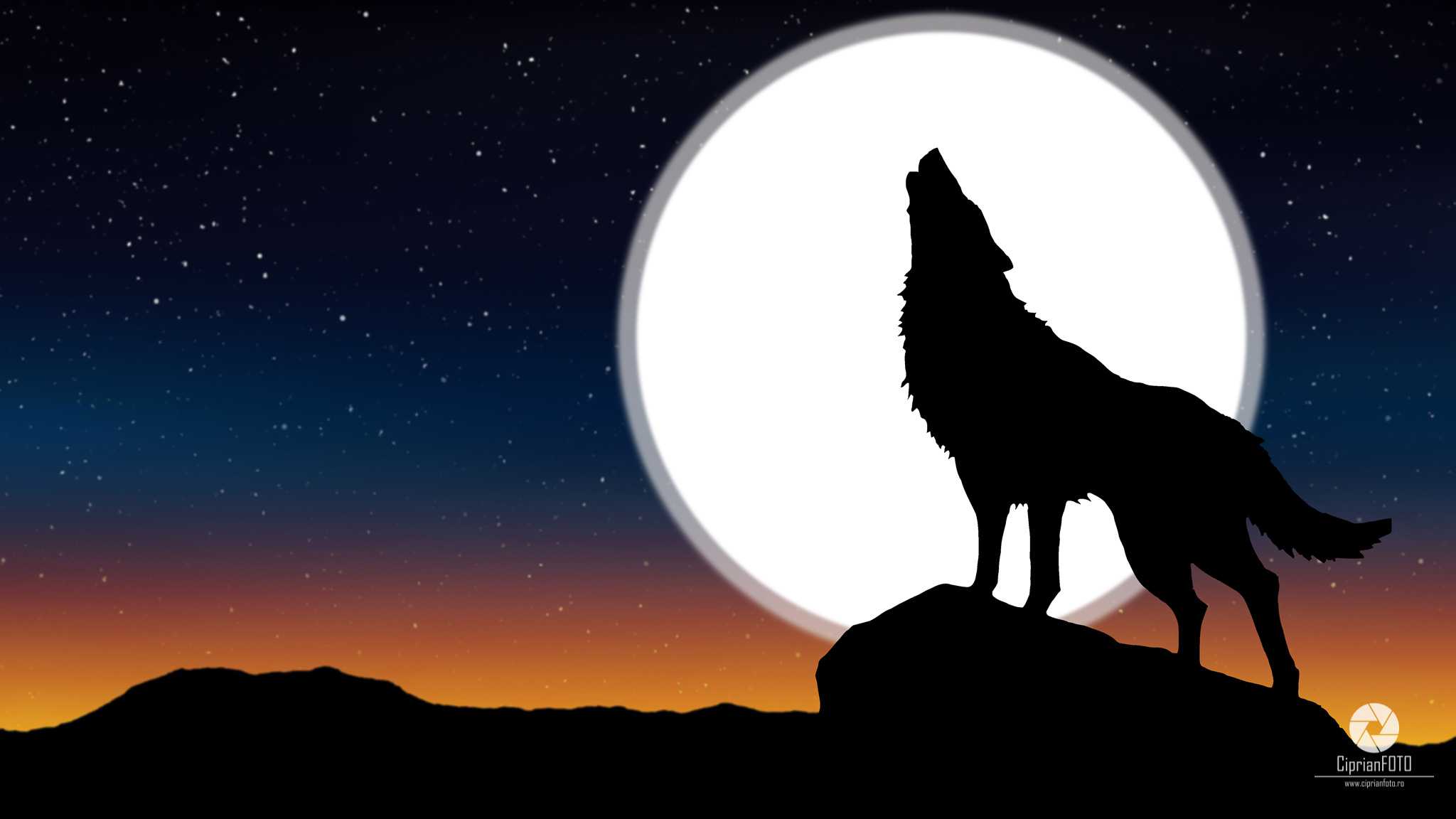 Howling The Wolf At The Moon, Photoshop Manipulation Tutorial, CiprianFOTO