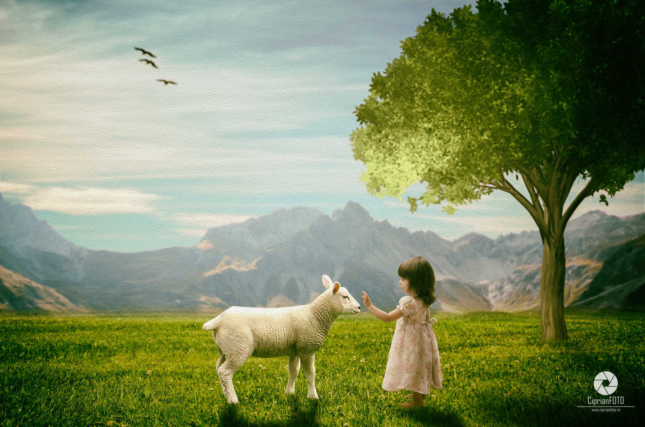 Little Girl And Sheep, Photoshop Manipulation Tutorial, CiprianFOTO