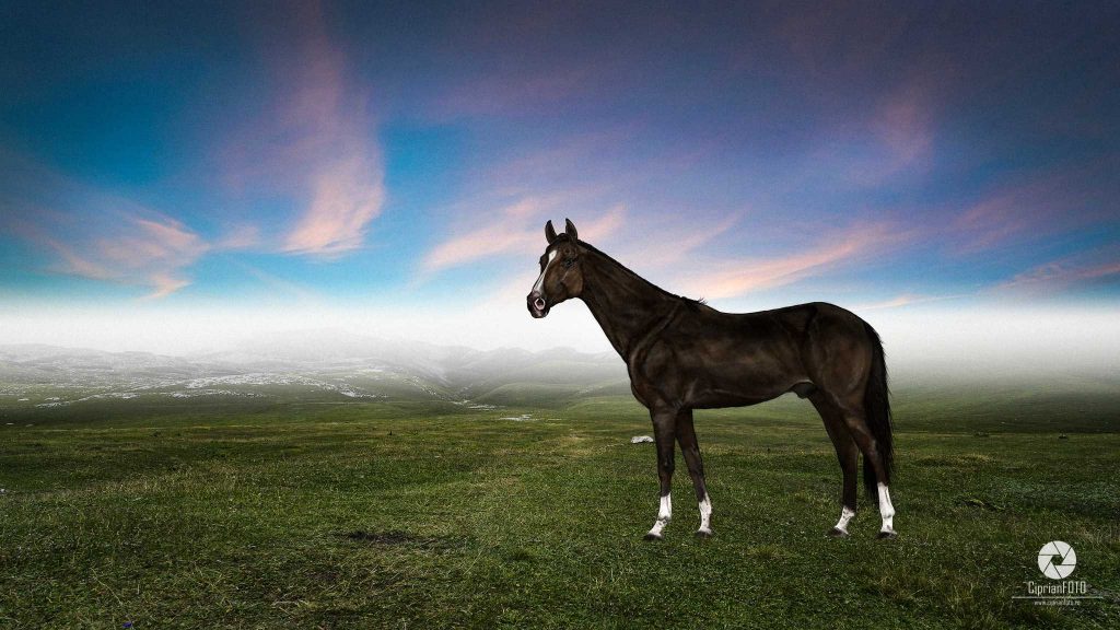 Tutorial Fantasy Fine Art Photo Manipulation The Horse