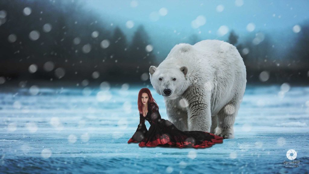 The Polar Bear And The Beautiful Woman Surreal Photo Manipulation 