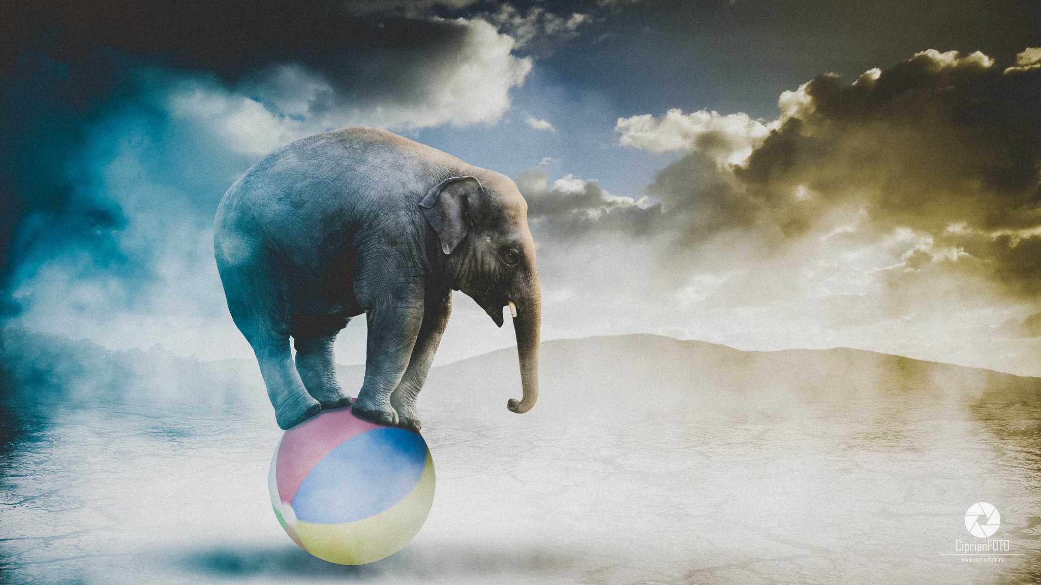 Elephant Playing With The Ball, Photoshop Manipulation Tutorial, CiprianFOTO