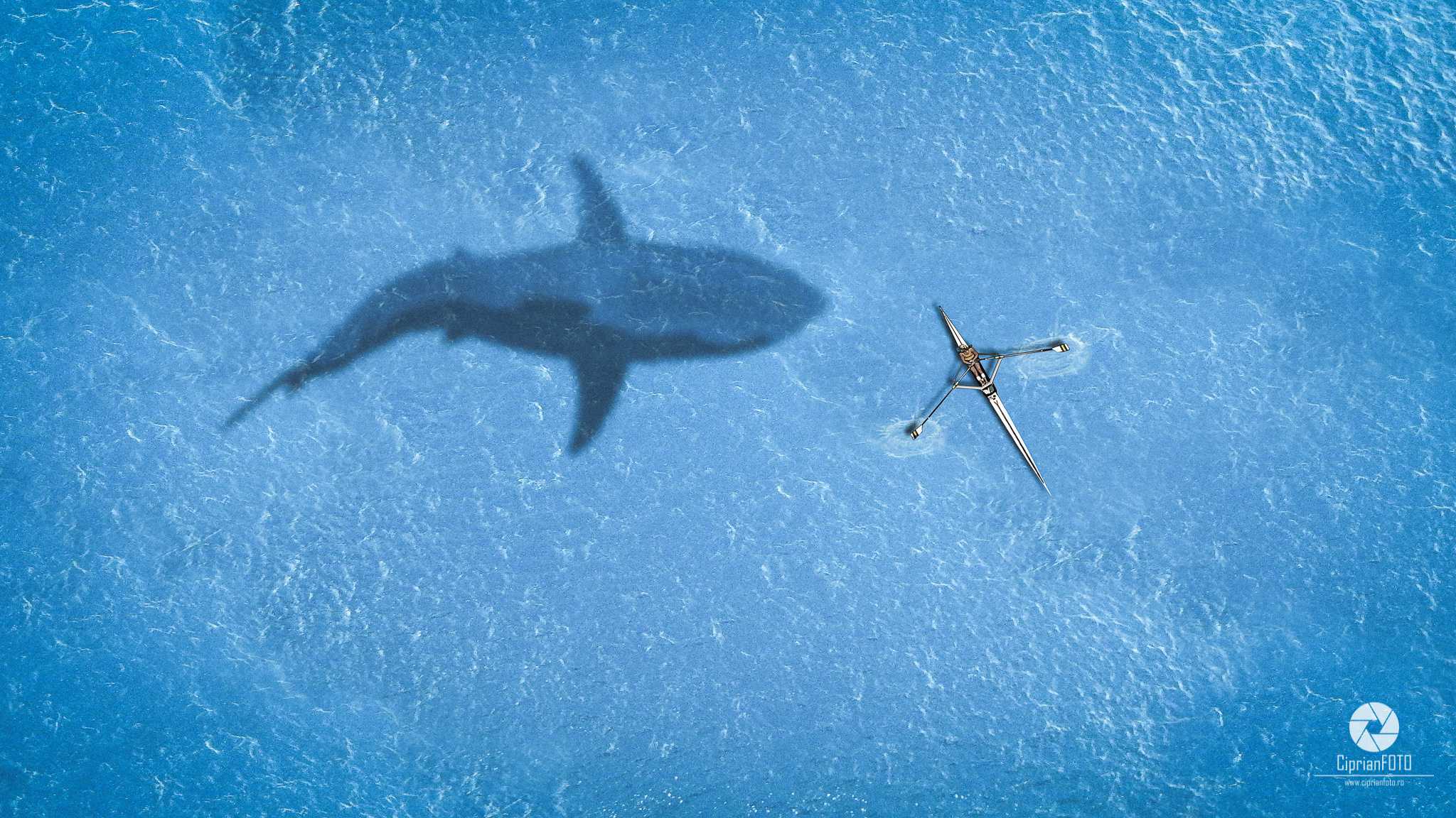 Meeting With The Great White Shark, Photoshop Manipulation Tutorial, CiprianFOTO