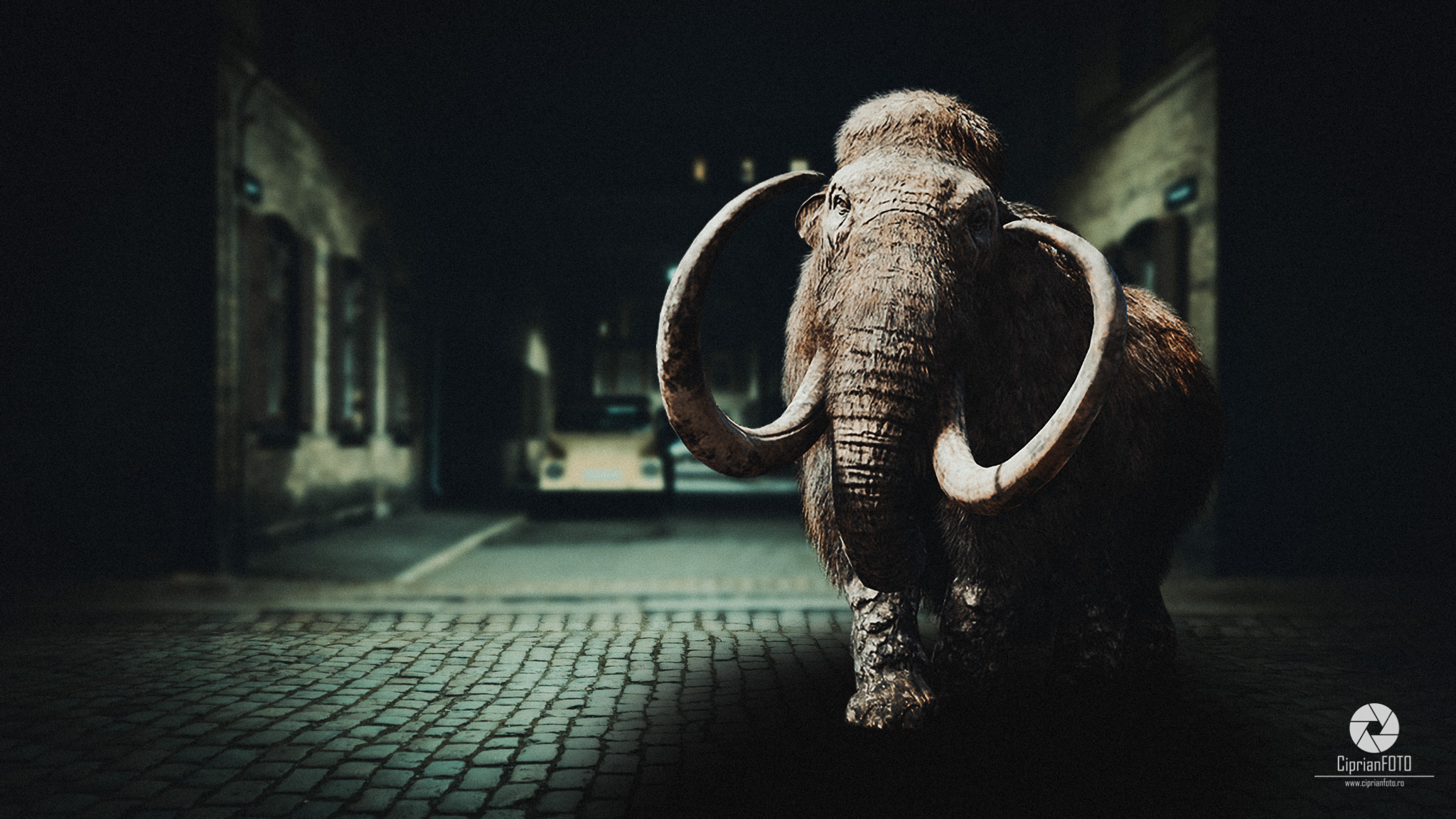 The Big Mammoth, Fantasy Fine Art, Photoshop Manipulation Tutorial, CiprianFOTO
